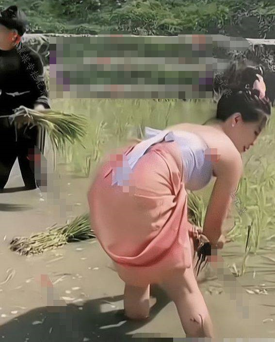 Họ đi làm đồng, lội bùn xuống ruộng nhưng lại diện đồ hở hang, thiếu vải, cố ý khoe dáng vóc, đường cong của mình.