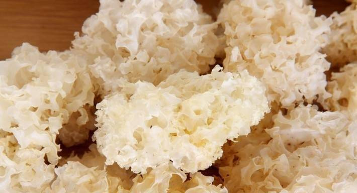 Nấm tuyết 25g, đường phèn 25g. Nấm tuyết ngâm nước ấm cho nở hết rồi rửa sạch, cắt bỏ chân, cho vào bát cùng đường phèn và nước, đem chưng cách thủy trong 30 phút, chia ăn vài lần. Công dụng: Bồi bổ cơ thể, trị các bệnh phổi thể âm hư có ho khan, ho ra máu.