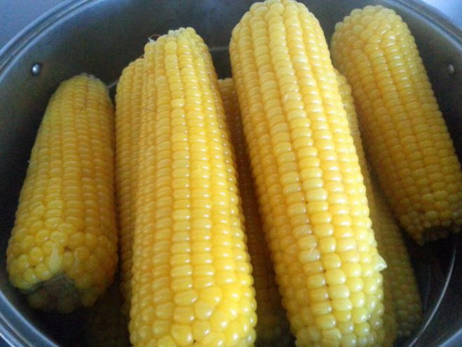 Theo tìm hiểu, ngô là loại hạt thô nhưng giá trị dinh dưỡng cao hơn các loại ngũ cốc tinh chế, rất giàu vitamin và khoáng chất, hàm lượng cao hơn nhiều so với gạo và bột. Trong số các loại lương thực, ngô đứng đầu về giá trị dinh dưỡng và giá trị chăm sóc sức khỏe.