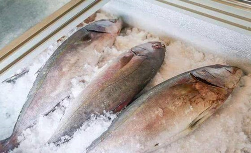 Ra dong theo cach nay, ca van tuoi 100%, khong mat dinh duong