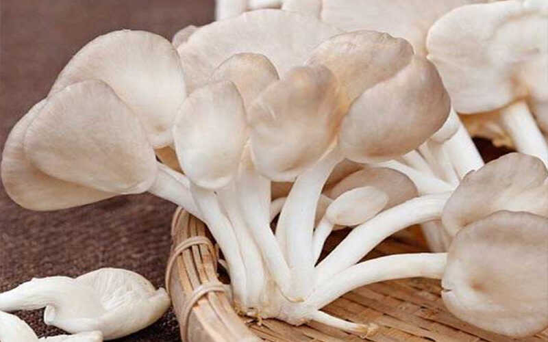 Thứ hai là nấm sò: Nấm sò là loại thực phẩm giàu dinh dưỡng, rất tốt trong việc giảm cholesterol, tăng cường khả năng miễn dịch và hạ đường huyết. Chúng cũng chứa nhiều vitamin B3, làm giảm nguy cơ mắc bệnh Alzheimer và suy giảm trí nhớ do tuổi tác.