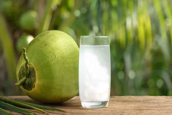 10 thuc pham “vang” tot cho si tu thi tot nghiep THPT