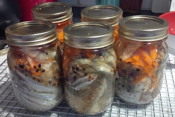 Khi thực phẩm đóng hộp có lẫn một vài bào tử C.Botulinum do quy trình sản xuất không đảm bảo, trong môi trường được đóng kín không có oxy, nếu thực phẩm không có đủ độ mặn và chua thì sẽ tạo điều kiện thuận lợi cho vi khuẩn này sinh sôi, phát triển, tiết ra độc tố Botulinum. Đây là nguyên nhân phổ biến gây ngộ độc thực phẩm. Ảnh minh họa: Instructables.