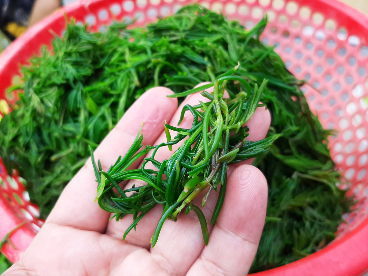 Theo Nhịp sống kinh tế, một người dân chuyên bán rau cho biết, rau trước đây bán khá rẻ, chỉ 5.000 - 8.000 đồng/kg thì nay đã lên đến mức 25.000 - 30.000 đồng/kg. Tại các thành phố lớn như Hà Nội và Vinh, giá bán của chúng khá đắt đỏ, có thể từ 70.000 - 100.000 đồng/kg. Ảnh: Anhp.