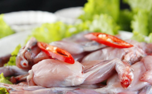 Theo các bác sĩ, cóc chứa nhiều chất độc ở trên toàn bộ da, tuyến nước bọt và mật. Thịt và xương của cóc không chứa chất độc. Tuy nhiên, khi làm thịt cóc, các chất độc trên da của cóc rất dễ ngấm vào thịt, gây ngộ độc cho người khi chế biến làm thức ăn. Ảnh minh họa.