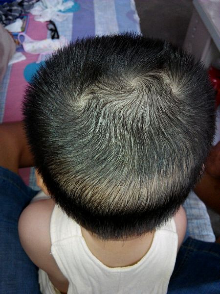 Có một ưu điểm lớn họ thường là người rất có tài văn chương, nghệ thuật, vì thế nếu chọn theo đuổi những công việc này dễ gặt hái thành công hơn.