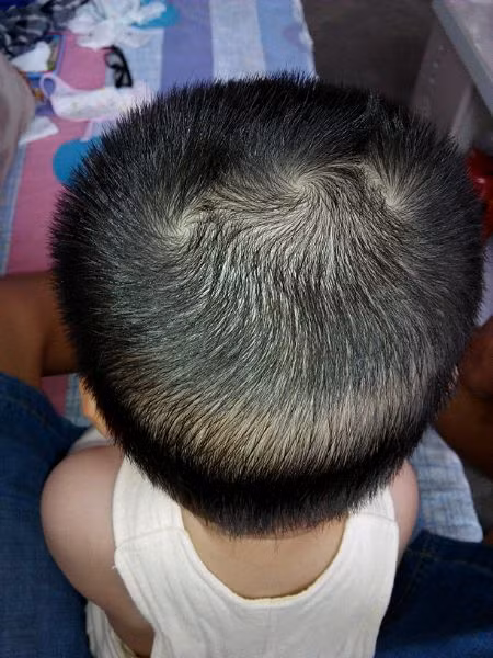 Có một ưu điểm lớn họ thường là người rất có tài văn chương, nghệ thuật, vì thế nếu chọn theo đuổi những công việc này dễ gặt hái thành công hơn.