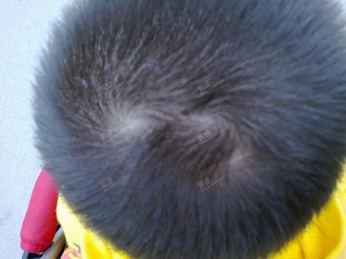 Làm việc thường nóng vội, hấp tấp không chịu suy nghĩ thấu đáo, đôi khi luôn thiếu cảm giác an toàn. Cũng chính vì tính cách này mà họ thường khó có sự nghiệp ổn định, thích hợp với những công việc mang tính thời vụ mới phát huy được khả năng của mình.