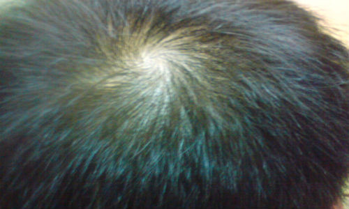 Cuộc sống tương đối bình lặng, ổn định, làm việc luôn có nguyên tắc không mấy khi mạo hiểm. Chính vì thế, họ thường trở thành những người lãnh đạo hoặc những người có quyền quyết sách trong tập thể.