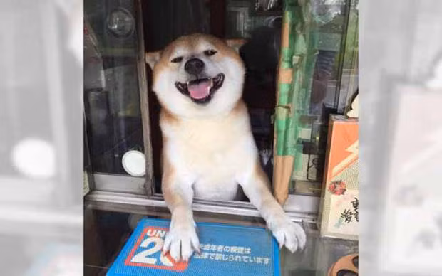 Chu cho ban tap hoa noi tieng khap Chau A vi qua chieu khach-Hinh-2