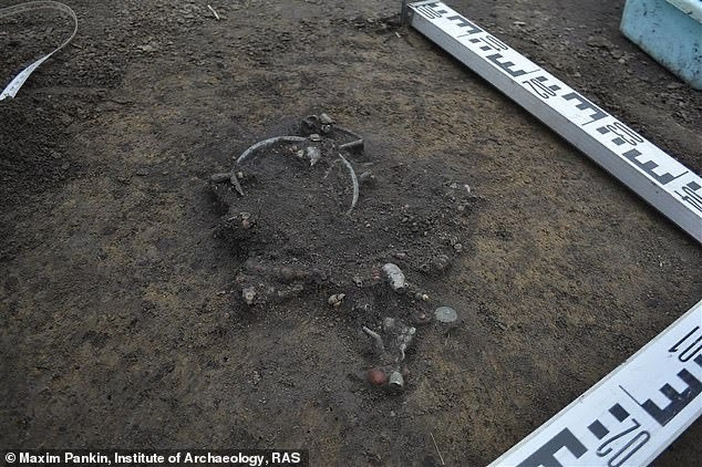 Nhà nghiên cứu Alexander Morozov từ Viện Hàn lâm Khoa học Nga cho hay việc nghiên cứu sâu hơn về các cổ vật trong kho báu mới phát hiện sẽ giúp giải mã kỹ thuật chế tạo chúng, thành phần của kim loại sẽ bổ sung cho hiểu biết của chúng ta về lịch sử, nguồn gốc số bảo vật này cũng như các cuộc xâm lược lãnh thổ Nga của Mông Cổ hơn 700 năm trước.