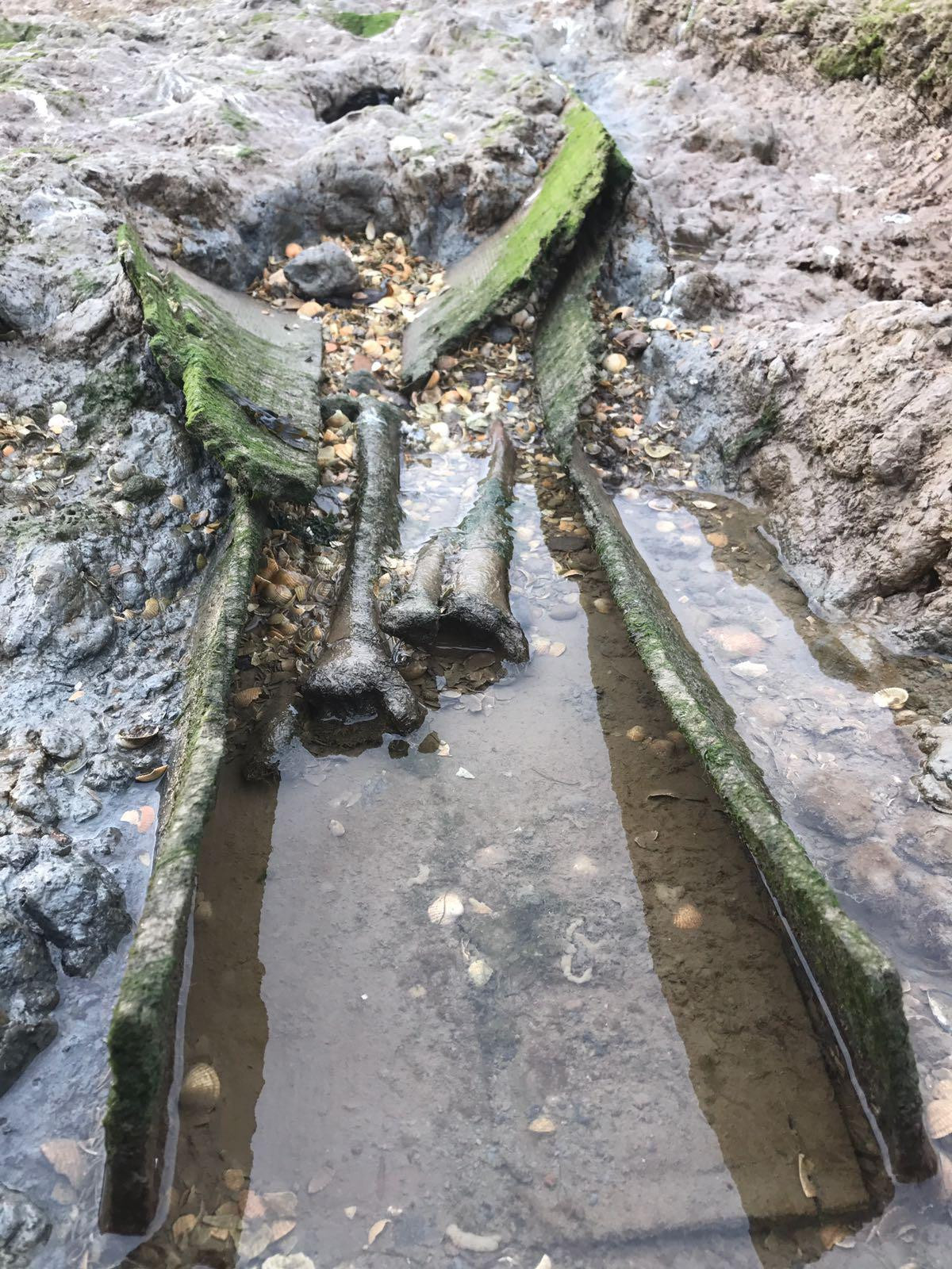 Không những vậy, những tù nhân được xác định không đủ sức khỏe để tới Australia thì cũng bị ném xuống đảo Deadman.