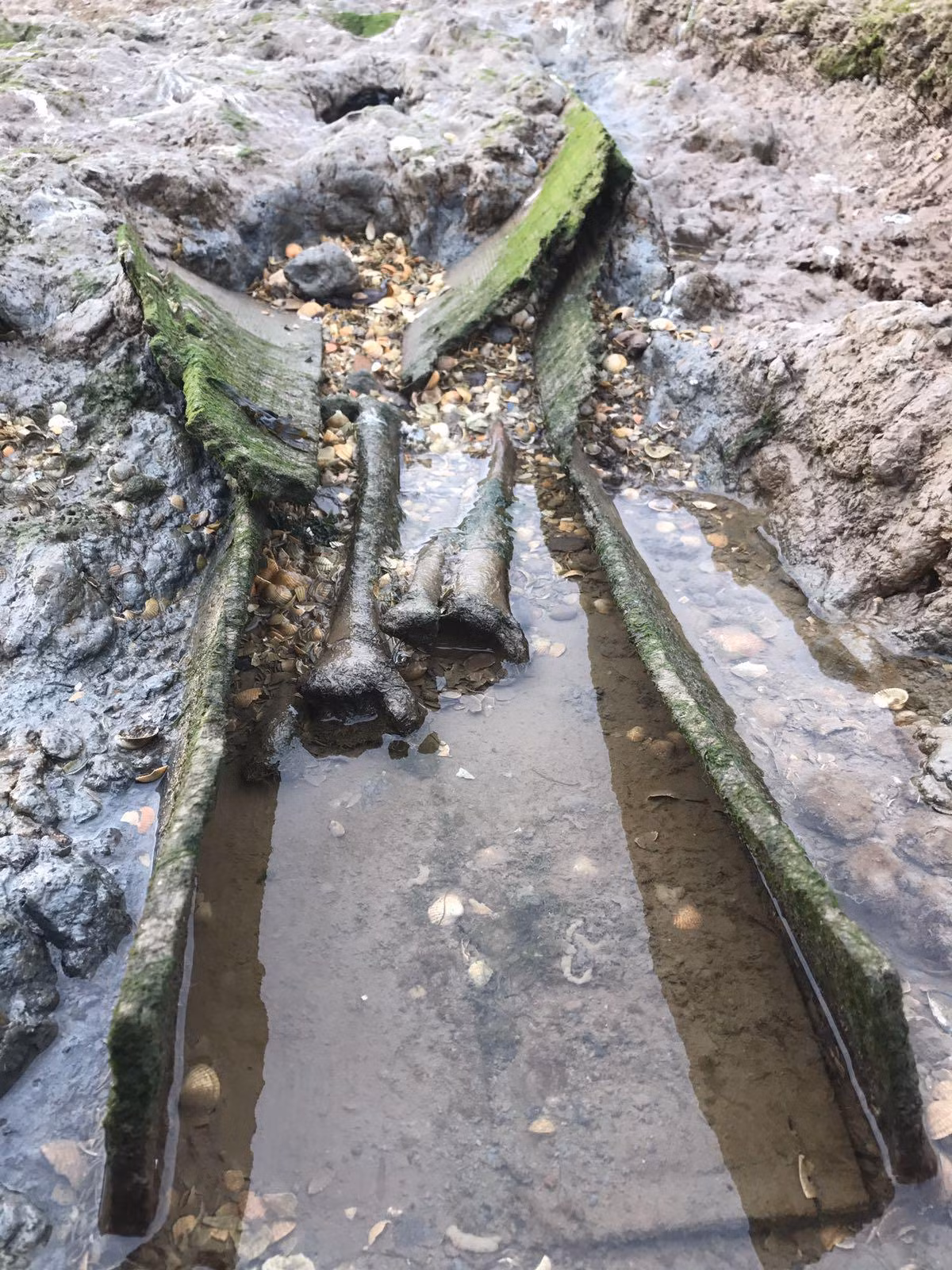 Không những vậy, những tù nhân được xác định không đủ sức khỏe để tới Australia thì cũng bị ném xuống đảo Deadman.