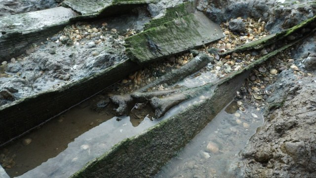 Do điều kiện sống trên đảo vô cùng khắc nghiệt và thiếu thốn thức ăn, thuốc men... nên phạm nhân thường chết không lâu sau khi bị bỏ lại.