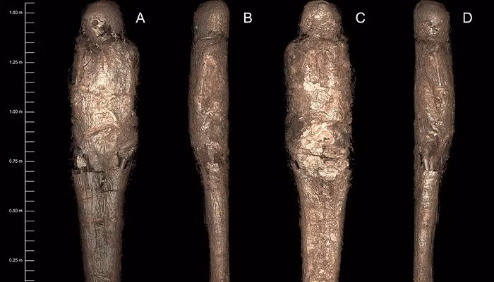 Nhóm chuyên gia thuộc Đại học Maccquarie, Sydney, Australia đã tiến hành một số kiểm tra, xét nghiệm xác ướp trên.