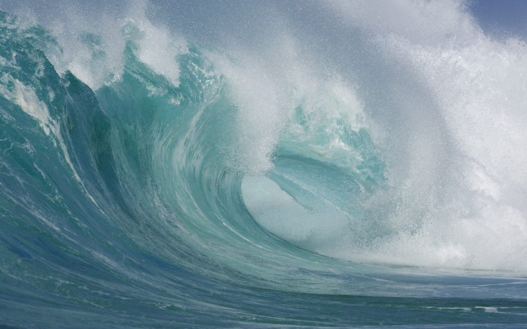 Điều này xuất phát từ việc sóng quái vật hoàn toàn có thể bẻ đôi một con tàu cỡ lớn rồi nhấn chìm toàn bộ tàu và thành viên thủy thủ đoàn xuống đáy biển. Dù lực lượng chức năng có tìm kiếm nhưng sẽ khó có thể tìm ra xác tàu và các nạn nhân nhất tích.