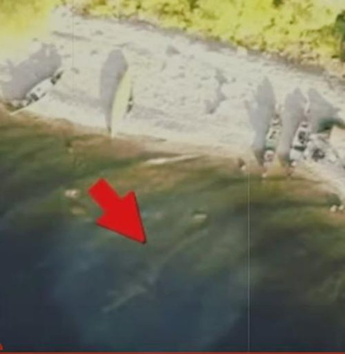 Căn cứ vào những hình ảnh trong video, sinh vật bí ẩn ở dưới mặt nước hồ Loch Ness có kích thước khá lớn, dài khoảng 9m.