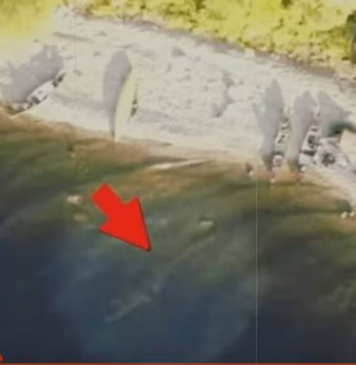 Căn cứ vào những hình ảnh trong video, sinh vật bí ẩn ở dưới mặt nước hồ Loch Ness có kích thước khá lớn, dài khoảng 9m.