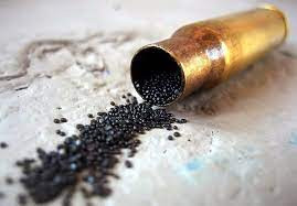 Phát minh này về sau trở nên phổ biến ở nhiều nước trên thế giới và được sử dụng trong việc chế tạo vũ khí, pháo hoa...