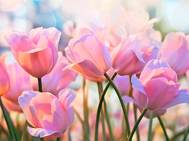 Họ có thể bình tĩnh mà tìm ra những hướng giải quyết phù hợp nhất với tình hình, khiến mọi người xung quanh phải nể phục và ngưỡng mộ.