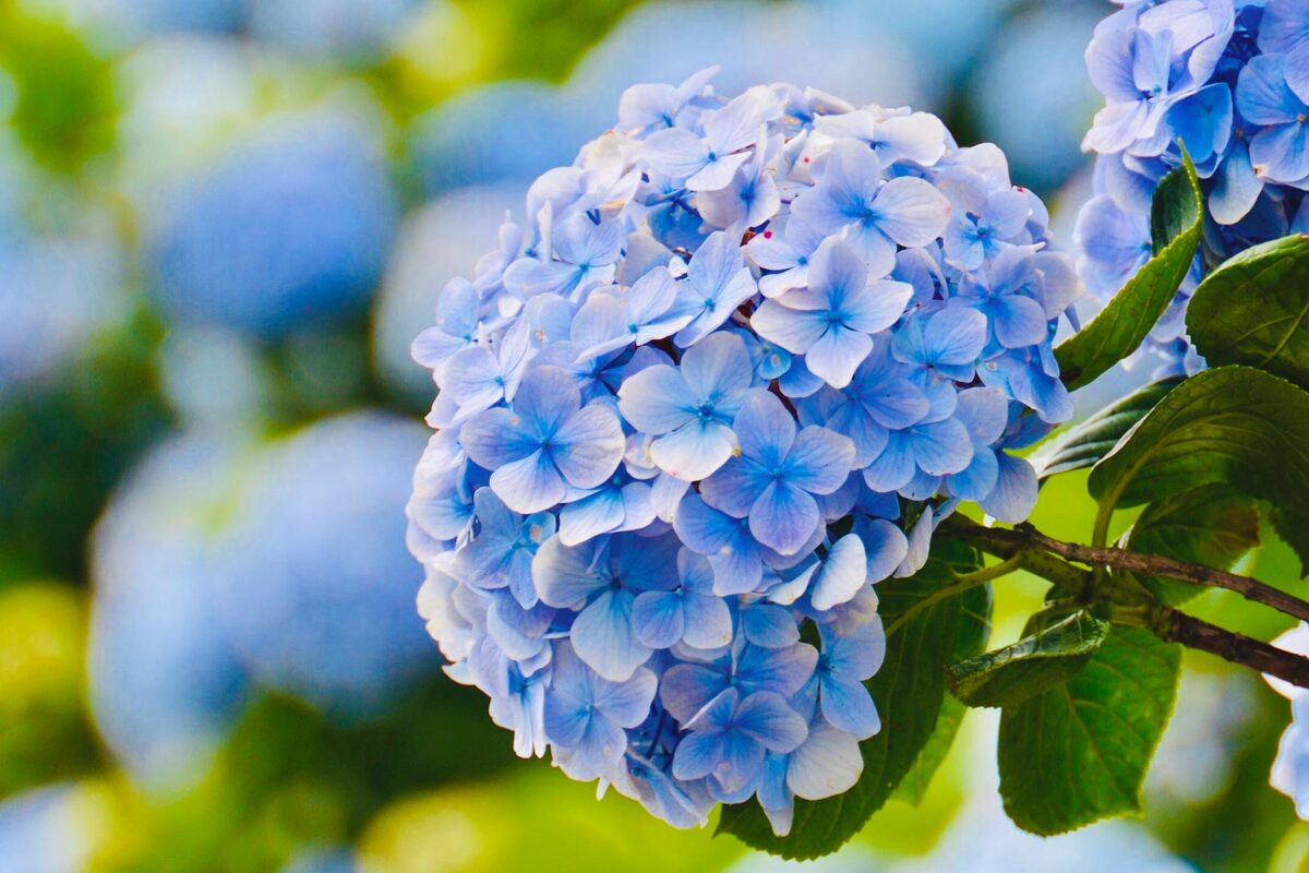 Đừng mãi nhìn về quá khứ, dù đó là thành công hay thất bại mà hãy hướng đến tương lai. Những người sinh vào 2 ngày Âm lịch này càng làm việc chăm chỉ sẽ càng dễ tiếp cận đến mục tiêu, thành công đến càng gần.