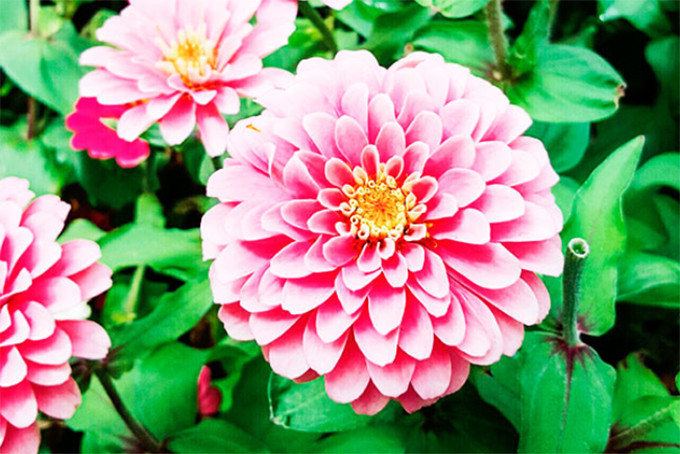 Điều quan trọng là họ cần xây dựng được nền móng vững chắc trong công việc thì mới có thể bứt phá, tạo điểm nhấn trong sự nghiệp.