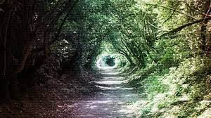 Hammerson Burns và Barham Wise chứng kiến cảnh tượng kỳ lạ đó không khỏi hoảng loạn, sợ hãi. Họ cho hay tiếng hét cuối cùng của người bạn Worson là âm thanh đáng sợ nhất từng nghe.