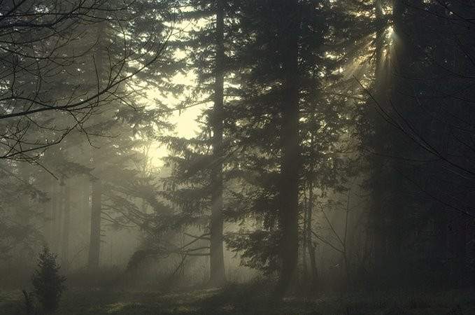 Khi được khoảng nửa đường, ông Worson đột nhiên bị vấp ngã và hét lên. Người thợ đóng giày chưa ngã hẳn xuống mặt đất thì biến mất một cách bí ẩn vào trong không khí.