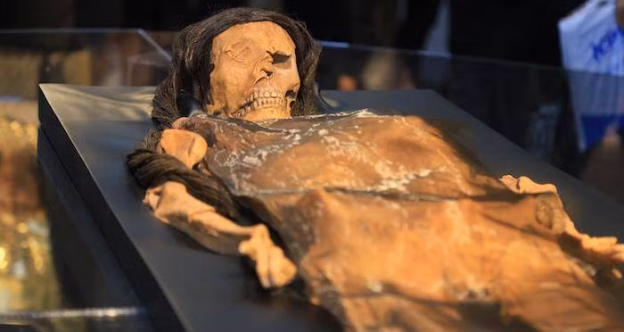 Từ những cổ vật này, các chuyên gia suy đoán Señora of Cao có khả năng là một nữ quý tộc thuộc nền văn hóa Moche hoặc là vợ của một thủ lĩnh bộ tộc. Thi hài của bà được ướp xác tự nhiên.