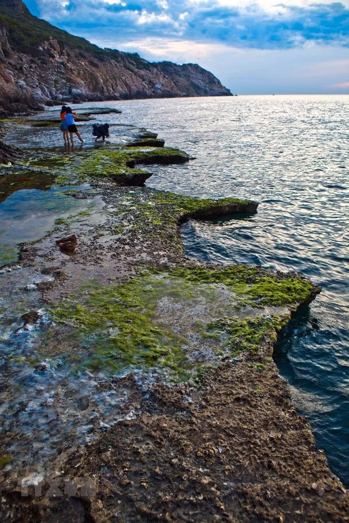 Vẻ đẹp hoang sơ của điểm du lịch Hang Rái trong cụm du lịch Khu dự trữ sinh quyển Núi Chúa. (Ảnh: Trọng Đạt/TTXVN