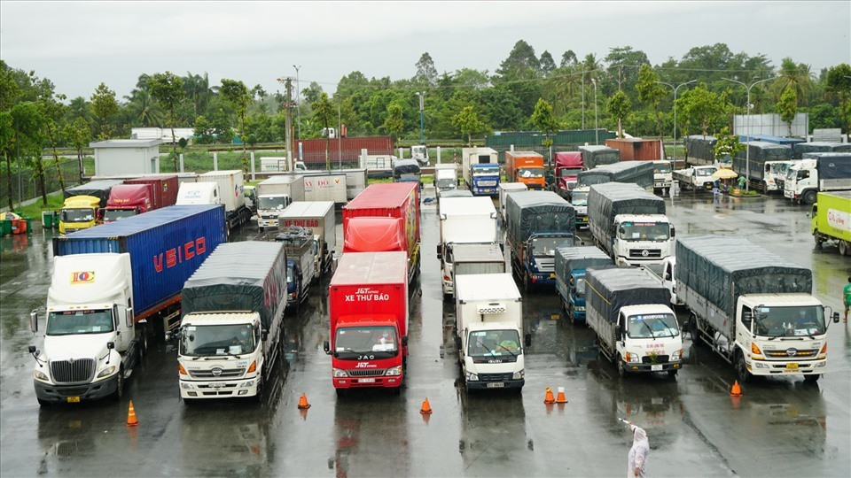 Loai bo giay phep con de co suc chong 'giac' dich lau dai