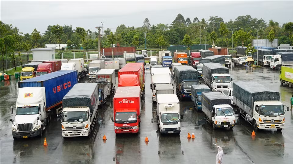 Loai bo giay phep con de co suc chong 'giac' dich lau dai