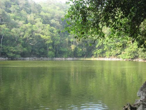 Trong suốt nhiều năm, người dân địa phương tò mò bên dưới ao cất giấu bí mật gì và gò đất đó thực sự là gì. Đến năm 1980, dự án xây dựng nhà máy gạch ngói Bắc Cảng được phê chuẩn. Theo đó, ao Bồ Đường được rút cạn nước.