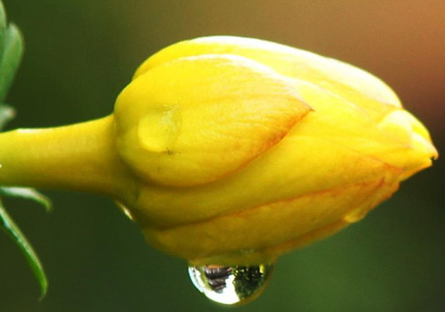 Vận trình của họ càng về sau sẽ càng hanh thông, được quý nhân giúp đỡ, càng chăm chỉ càng gặp nhiều may mắn. Nhớ rằng vận may luôn đến với những người chuẩn bị sẵn sàng. (*) Thông tin trong bài mang tính chiêm nghiệm, tham khảo.