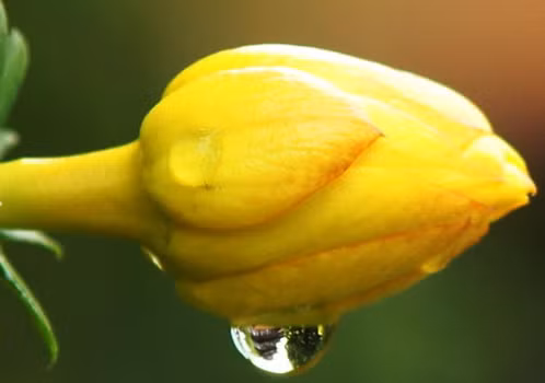 Vận trình của họ càng về sau sẽ càng hanh thông, được quý nhân giúp đỡ, càng chăm chỉ càng gặp nhiều may mắn. Nhớ rằng vận may luôn đến với những người chuẩn bị sẵn sàng. (*) Thông tin trong bài mang tính chiêm nghiệm, tham khảo.