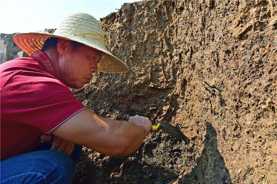 Thêm nữa, thi hài người phụ nữ toả ra hương thơm khoác trên người trang phục thời nhà Thanh. Sau khoảng 300 năm, thi hài của người này vẫn còn khá nguyên vẹn giống như mới qua đời cách đây không lâu.