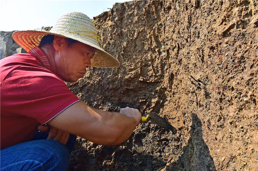 Thêm nữa, thi hài người phụ nữ toả ra hương thơm khoác trên người trang phục thời nhà Thanh. Sau khoảng 300 năm, thi hài của người này vẫn còn khá nguyên vẹn giống như mới qua đời cách đây không lâu.