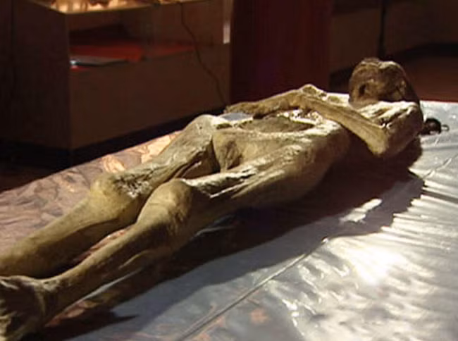 Cụ thể, các chuyên gia khảo cổ tiến hành khai quật ngôi mộ nằm sâu 4m dưới mặt đất. Khi tiến vào bên trong mộ cổ, các chuyên gia phát hiện 2 cỗ quan tài. Trong đó, cỗ quan tài thứ nhất làm từ gỗ. Bên trong có một thi hài bị phân huỷ khá nghiêm trọng. Bên cạnh thi hài này là một số món đồ tuỳ táng.