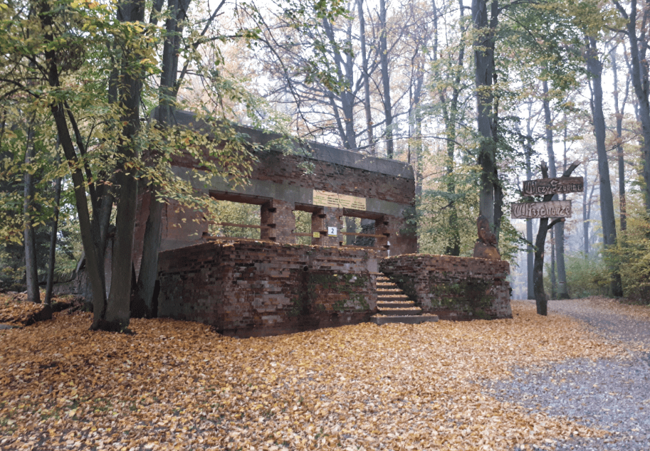 Ước tính, khoảng 3.000 - 5.000 người làm việc tại Hang Sói trong suốt những năm tháng chiến tranh. Trong số các nhân viên làm việc tại căn cứ quân sự đầu não của Đức quốc xã có nhiều phụ nữ trẻ làm công việc kiểm tra thức ăn cho Hitler.