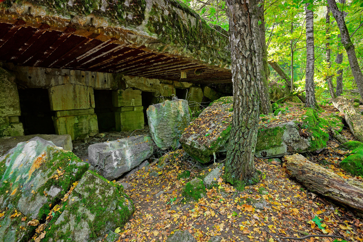 Chính quyền Hitler xây dựng Hang Sói (hay còn gọi là Wolfsschanze) làm căn cứ quân sự đầu não để chỉ huy các chiến dịch quân sự ở mặt trận phía Đông.