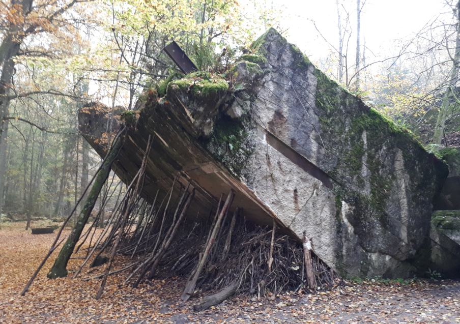 Những phụ nữ này sẽ nếm thử thức ăn xem có độc hay không. Sau khi xác nhận là an toàn thì các món ăn mới được phục vụ Hitler.
