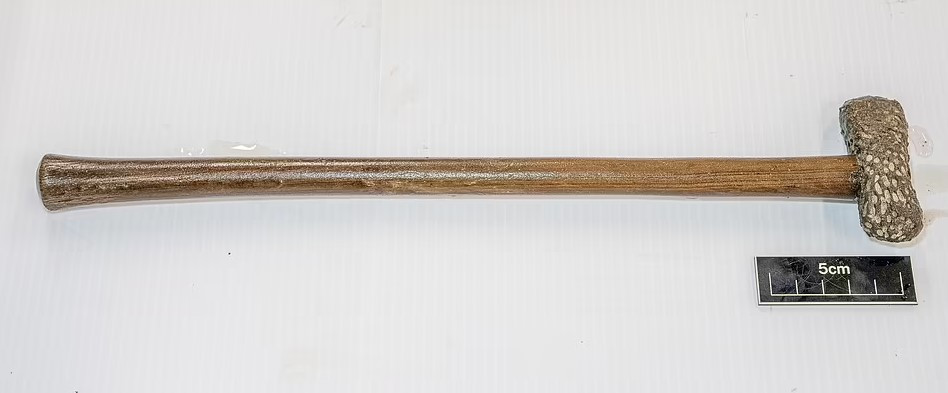 Điều khiến các chuyên gia kinh ngạc là chiếc rìu còn gần như nguyên vẹn. Cổ vật này có đầu làm bằng đá và tay cầm bằng gỗ.