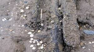 Theo các chuyên gia, do quan tài nằm sâu khoảng 3,6m dưới lòng đất và bị ngập nước nên nó bị vỡ thành nhiều mảnh. Trải qua khoảng 4.000 năm, cỗ quan tài xuống cấp khá nhanh.