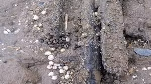 Theo các chuyên gia, do quan tài nằm sâu khoảng 3,6m dưới lòng đất và bị ngập nước nên nó bị vỡ thành nhiều mảnh. Trải qua khoảng 4.000 năm, cỗ quan tài xuống cấp khá nhanh.