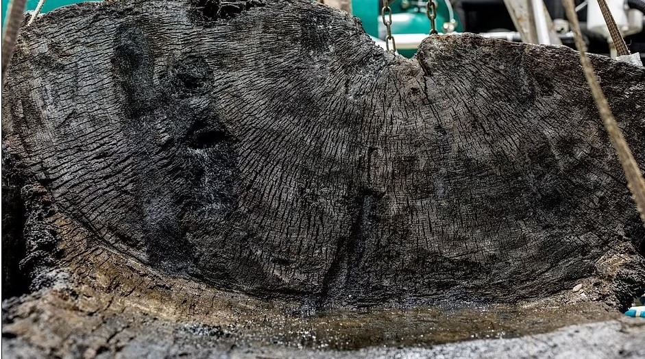 Bên trong quan tài ngập nước có chứa hài cốt của một người đàn ông. Căn cứ vào tình trạng quan tài, các chuyên gia suy đoán đây là người có địa vị cao trong xã hội. Người này cao khoảng 1,7m và qua đời khi khoảng 30 - 40 tuổi.