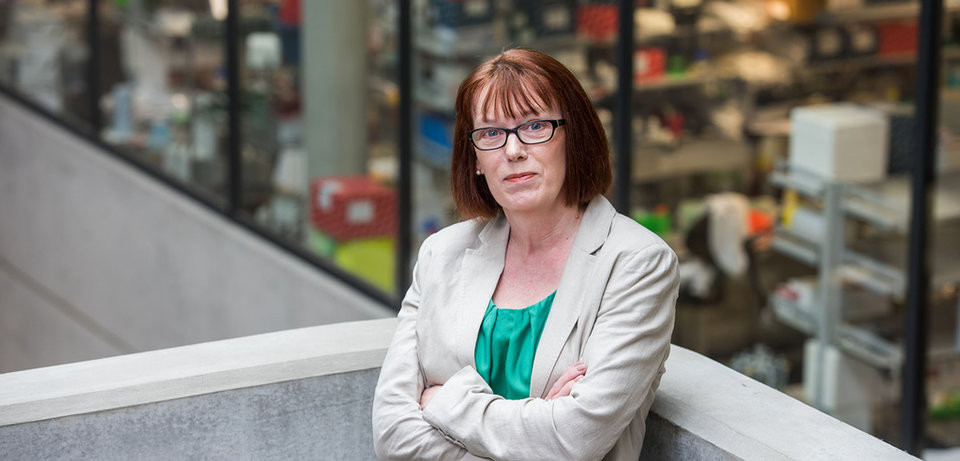 “Virus SARS-CoV-2 không thể đột biến hoàn toàn vì protein gai của nó phải tương tác với thụ thể ACE2 trên bề mặt tế bào con người để xâm nhập vào tế bào. Nếu nó thay đổi protein gai nhiều tới mức không thể tương tác với thụ thể đó thì nó sẽ không thể xâm nhập tế bào. Do vậy, không còn nhiều chỗ để virus SARS-CoV-2 lây lan”, Giáo sư Sarah nhận định.