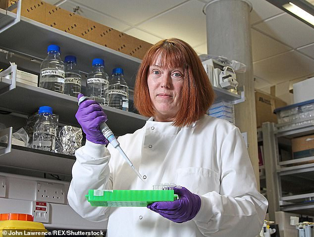 Theo Giáo sư Sarah, các loại virus thường có xu hướng giảm độc lực theo thời gian khi chúng lây lan trong cộng đồng mà con người ngày càng có khả năng miễn dịch cao hơn.