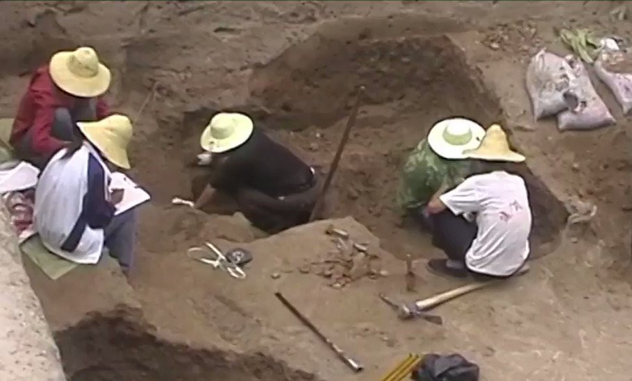 Kết quả nghiên cứu cho thấy "a ngùy quan tài" mà Lý Vỹ Cản tìm thấy thực chất là một loại nấm thuộc họ Ganoderma lucidum. Nó thường được gọi là "nấm quan tài" bởi mọc trong các mộ cổ dưới lòng đất. Các chuyên gia cũng bác bỏ thông tin nó có thể chữa bách bệnh. Ảnh minh họa.