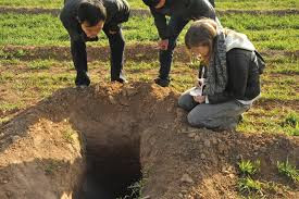 Trong các sách y cổ, "a ngùy quan tài" được mô tả là thần dược có khả năng chữa bách bệnh. Thậm chí, nếu một người sắp chết nếu có thể ăn thứ trên thì có thể "cải tử hoàn sinh". Thần dược "a ngùy quan tài" rất quý hiếm nên không có nhiều người từng nhìn thấy hoặc sử dụng nó. Ảnh minh họa.