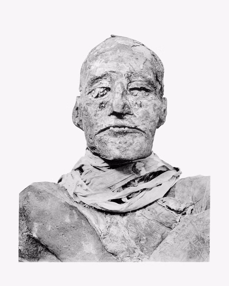 Trong suốt nhiều thế kỷ, nguyên nhân tử vong của Ramesses III là một bí ẩn lớn khiến hậu thế tò mò. Bí mật này được giới chuyên gia từng bước giải mã khi tìm được xác ướp của ông tại Thung lũng các vị vua.